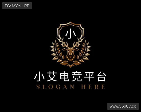 领悟小艾电竞平台